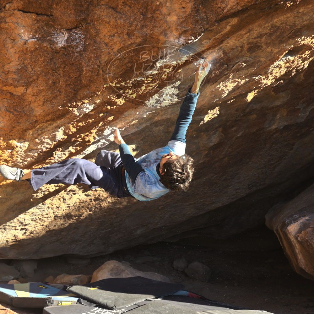 

Filename: SRM_20251124_1525300.jpg
Aperture: f/4.0
Shutter Speed: 1/500
Body: Canon EOS R6
Lens: Canon EF 16-35mm f/2.8 L