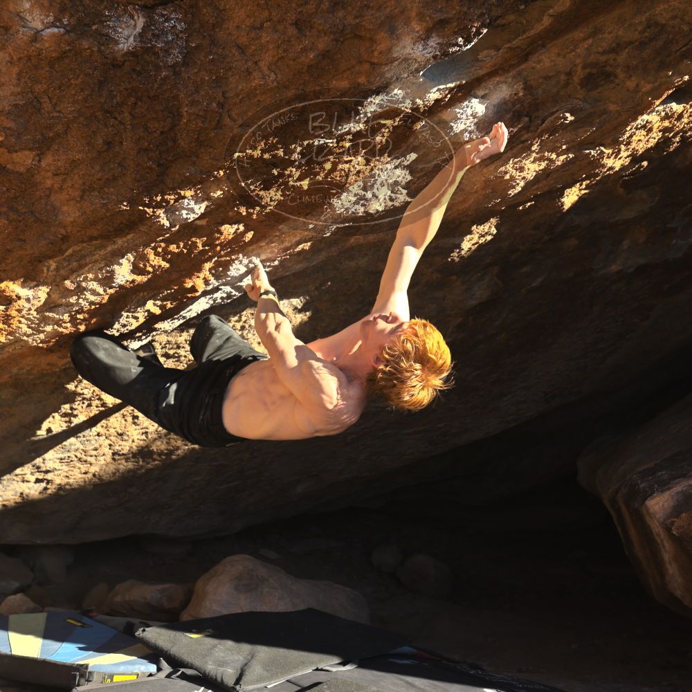 

Filename: SRM_20251124_1526450.jpg
Aperture: f/4.0
Shutter Speed: 1/500
Body: Canon EOS R6
Lens: Canon EF 16-35mm f/2.8 L