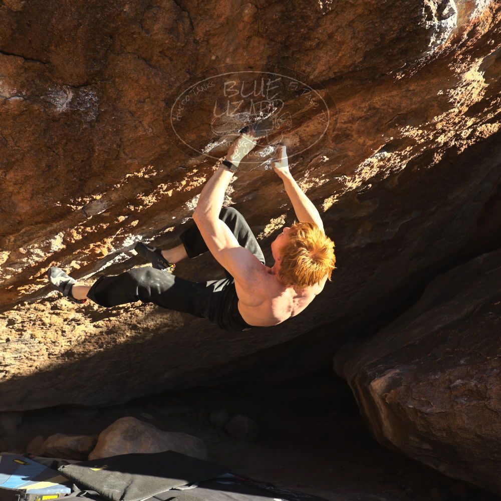 

Filename: SRM_20251124_1526520.jpg
Aperture: f/4.0
Shutter Speed: 1/500
Body: Canon EOS R6
Lens: Canon EF 16-35mm f/2.8 L