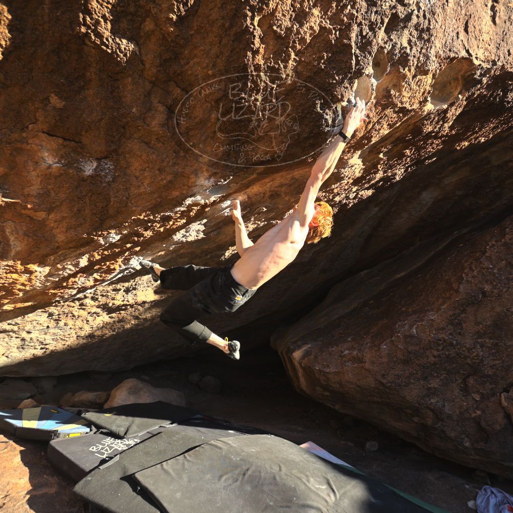 

Filename: SRM_20251124_1526560.jpg
Aperture: f/4.0
Shutter Speed: 1/500
Body: Canon EOS R6
Lens: Canon EF 16-35mm f/2.8 L