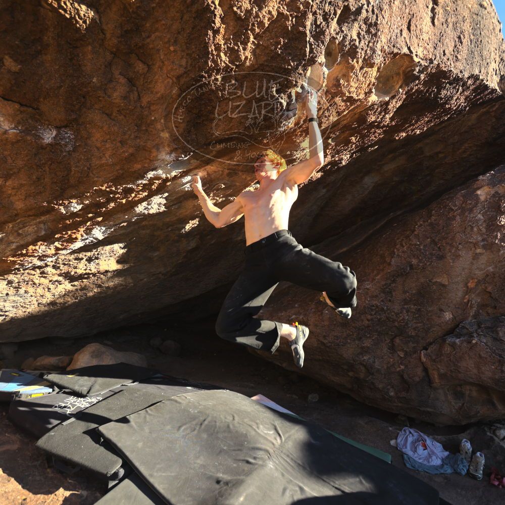 

Filename: SRM_20251124_1526573.jpg
Aperture: f/4.0
Shutter Speed: 1/500
Body: Canon EOS R6
Lens: Canon EF 16-35mm f/2.8 L