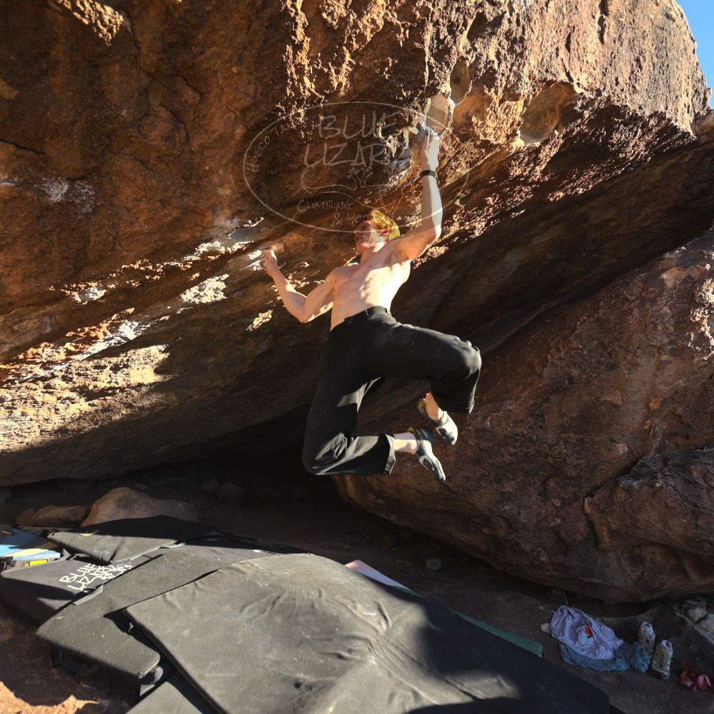 

Filename: SRM_20251124_1526574.jpg
Aperture: f/4.0
Shutter Speed: 1/500
Body: Canon EOS R6
Lens: Canon EF 16-35mm f/2.8 L