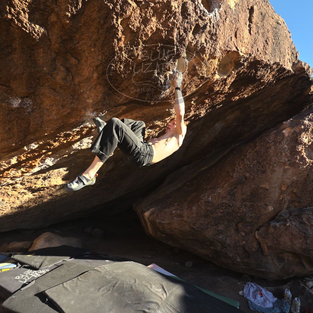 

Filename: SRM_20251124_1526590.jpg
Aperture: f/4.0
Shutter Speed: 1/500
Body: Canon EOS R6
Lens: Canon EF 16-35mm f/2.8 L