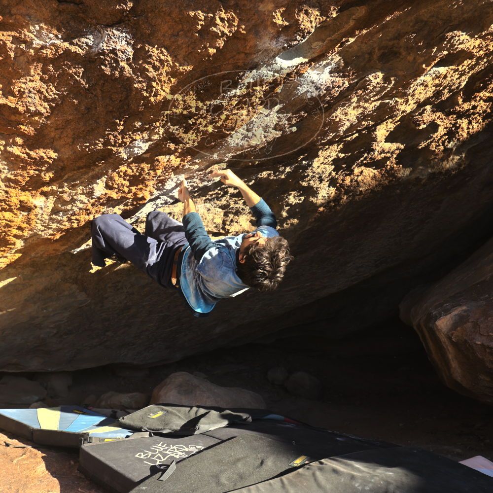 

Filename: SRM_20251124_1540100.jpg
Aperture: f/4.0
Shutter Speed: 1/500
Body: Canon EOS R6
Lens: Canon EF 16-35mm f/2.8 L