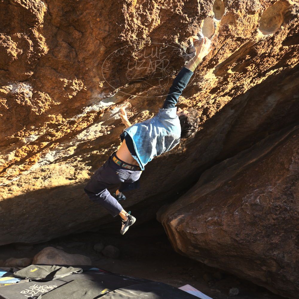 

Filename: SRM_20251124_1540200.jpg
Aperture: f/4.0
Shutter Speed: 1/500
Body: Canon EOS R6
Lens: Canon EF 16-35mm f/2.8 L