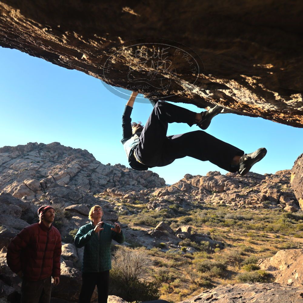 

Filename: SRM_20251124_1540580.jpg
Aperture: f/4.0
Shutter Speed: 1/500
Body: Canon EOS R6
Lens: Canon EF 16-35mm f/2.8 L