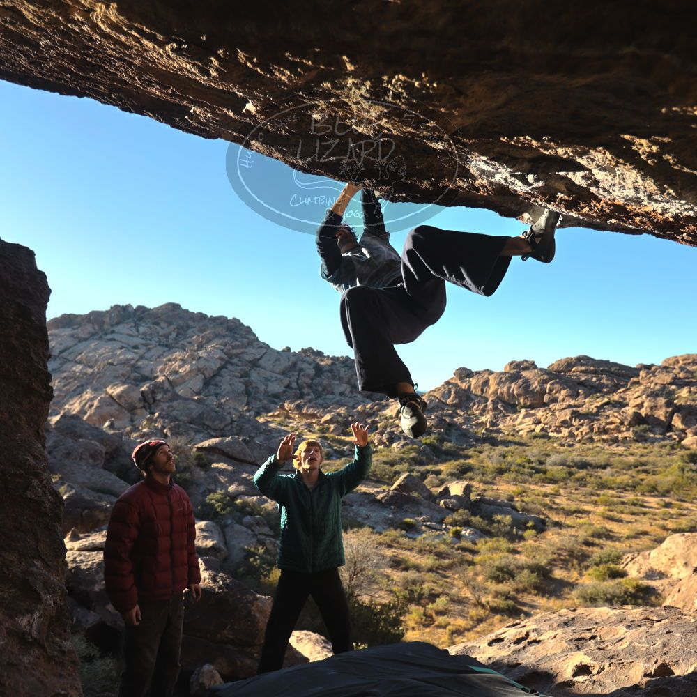 

Filename: SRM_20251124_1541020.jpg
Aperture: f/4.0
Shutter Speed: 1/500
Body: Canon EOS R6
Lens: Canon EF 16-35mm f/2.8 L