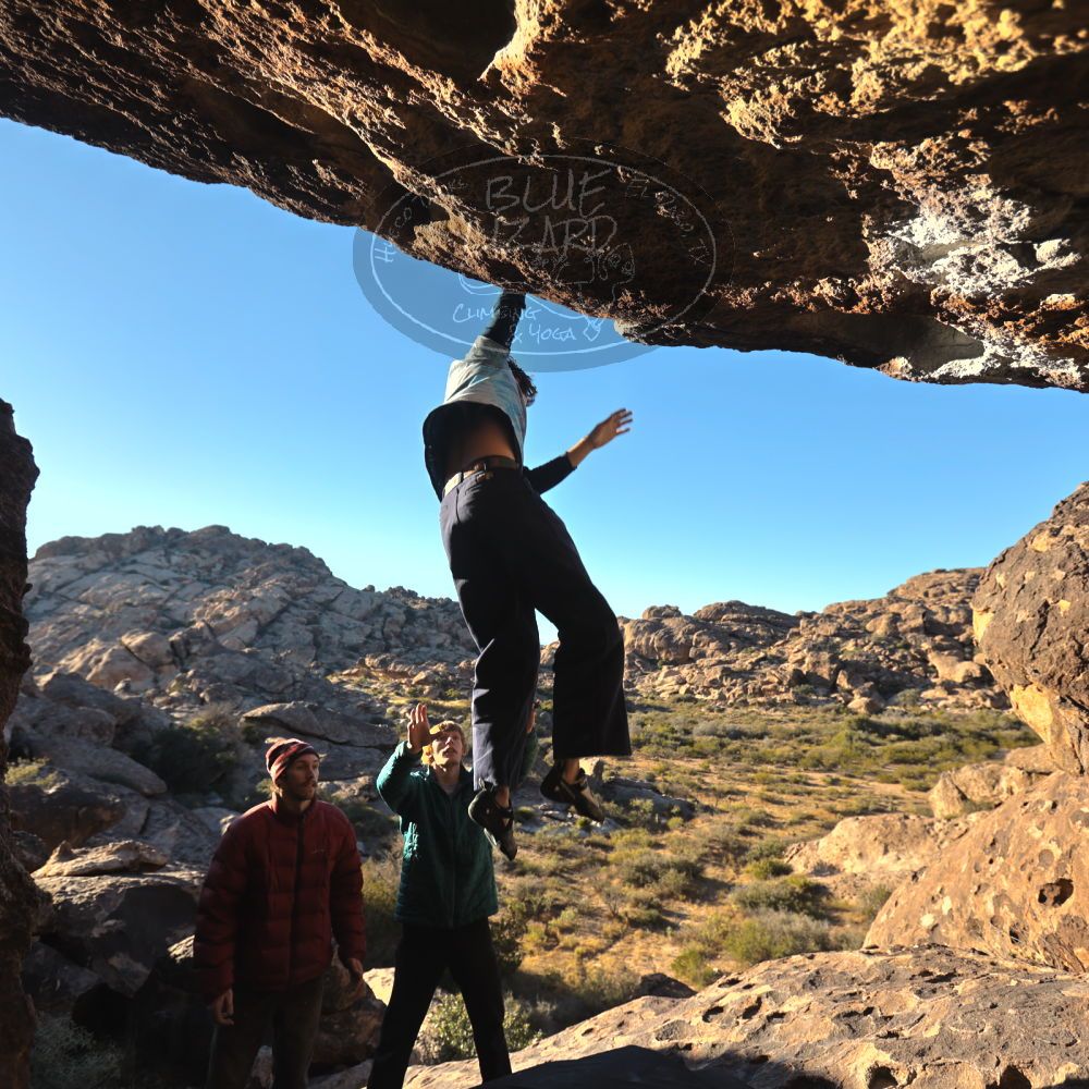 

Filename: SRM_20251124_1541080.jpg
Aperture: f/4.0
Shutter Speed: 1/500
Body: Canon EOS R6
Lens: Canon EF 16-35mm f/2.8 L