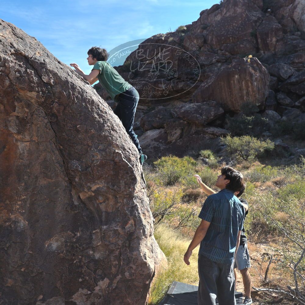 

Filename: SRM_20251126_1036220.jpg
Aperture: f/5.6
Shutter Speed: 1/1000
Body: Canon EOS R6
Lens: Canon EF 16-35mm f/2.8 L