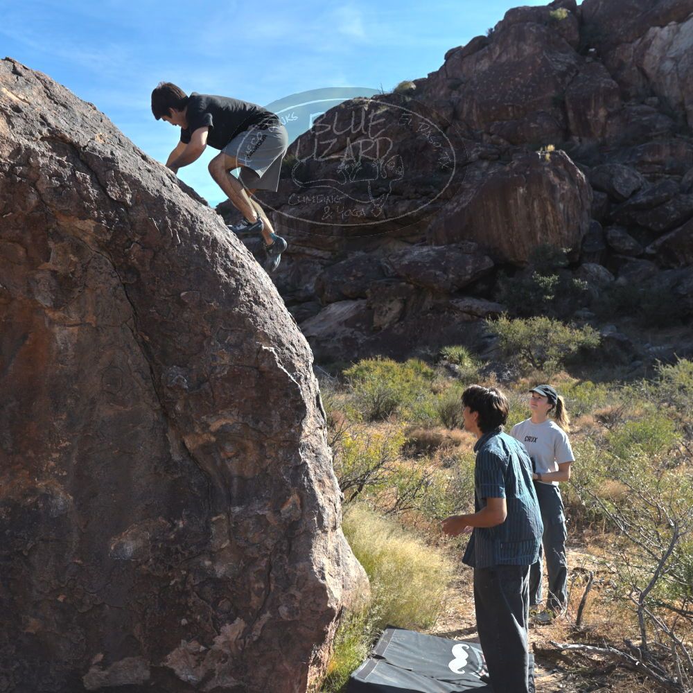 

Filename: SRM_20251126_1037150.jpg
Aperture: f/5.6
Shutter Speed: 1/1000
Body: Canon EOS R6
Lens: Canon EF 16-35mm f/2.8 L