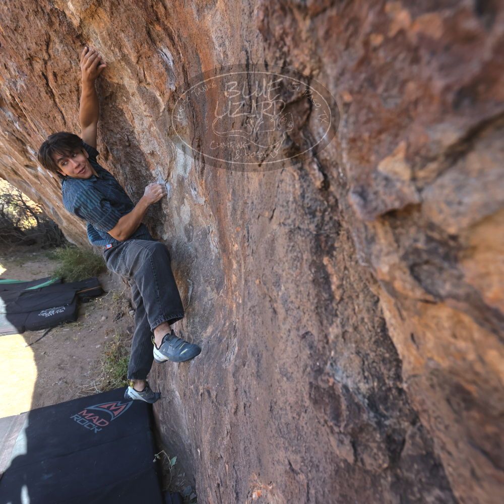 

Filename: SRM_20251126_1040210.jpg
Aperture: f/5.6
Shutter Speed: 1/1000
Body: Canon EOS R6
Lens: Canon EF 16-35mm f/2.8 L