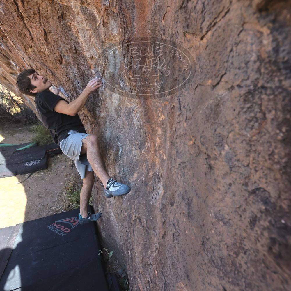 

Filename: SRM_20251126_1041260.jpg
Aperture: f/5.6
Shutter Speed: 1/1000
Body: Canon EOS R6
Lens: Canon EF 16-35mm f/2.8 L