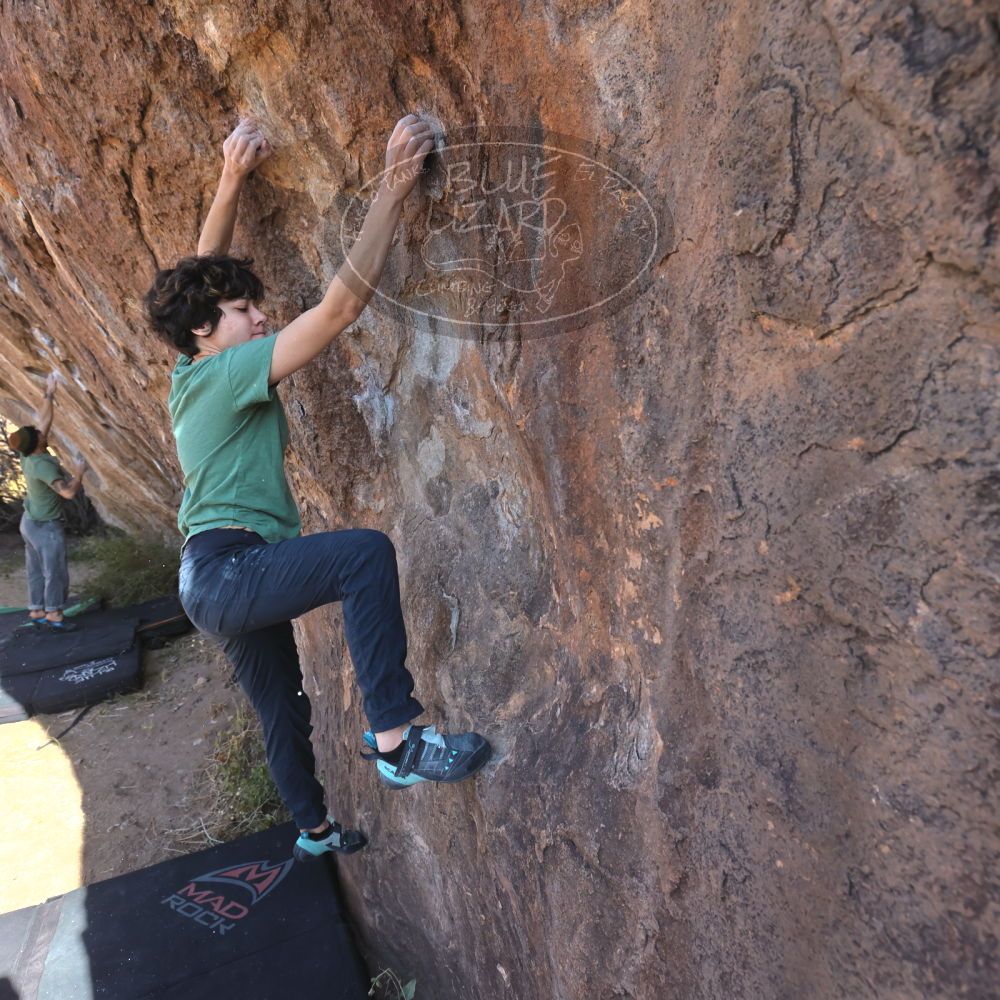 

Filename: SRM_20251126_1043350.jpg
Aperture: f/5.6
Shutter Speed: 1/1000
Body: Canon EOS R6
Lens: Canon EF 16-35mm f/2.8 L