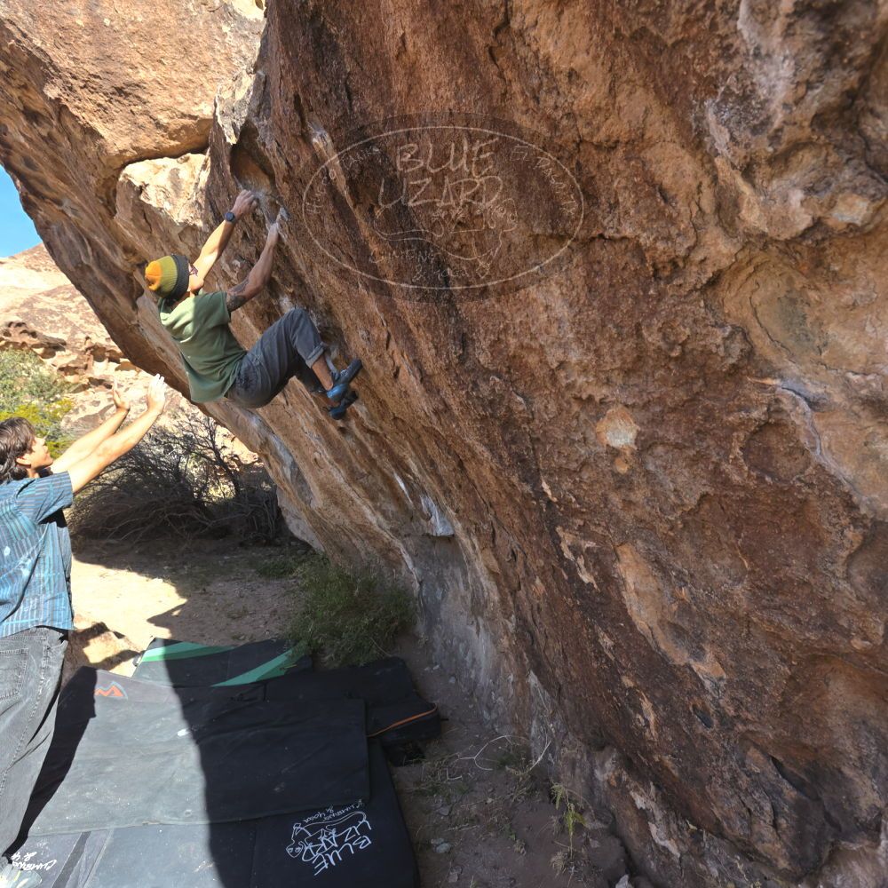 

Filename: SRM_20251126_1045360.jpg
Aperture: f/5.6
Shutter Speed: 1/1000
Body: Canon EOS R6
Lens: Canon EF 16-35mm f/2.8 L