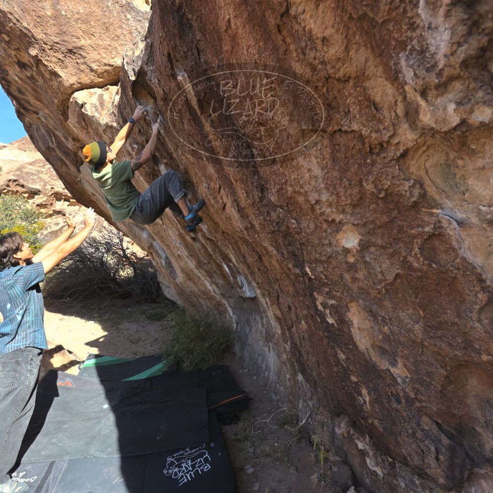 

Filename: SRM_20251126_1045370.jpg
Aperture: f/5.6
Shutter Speed: 1/1000
Body: Canon EOS R6
Lens: Canon EF 16-35mm f/2.8 L