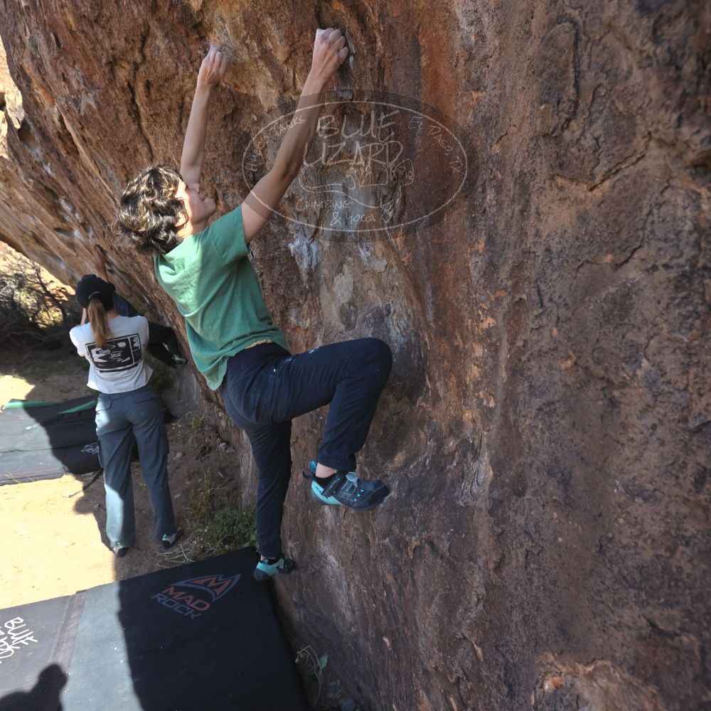 

Filename: SRM_20251126_1047420.jpg
Aperture: f/5.6
Shutter Speed: 1/1000
Body: Canon EOS R6
Lens: Canon EF 16-35mm f/2.8 L