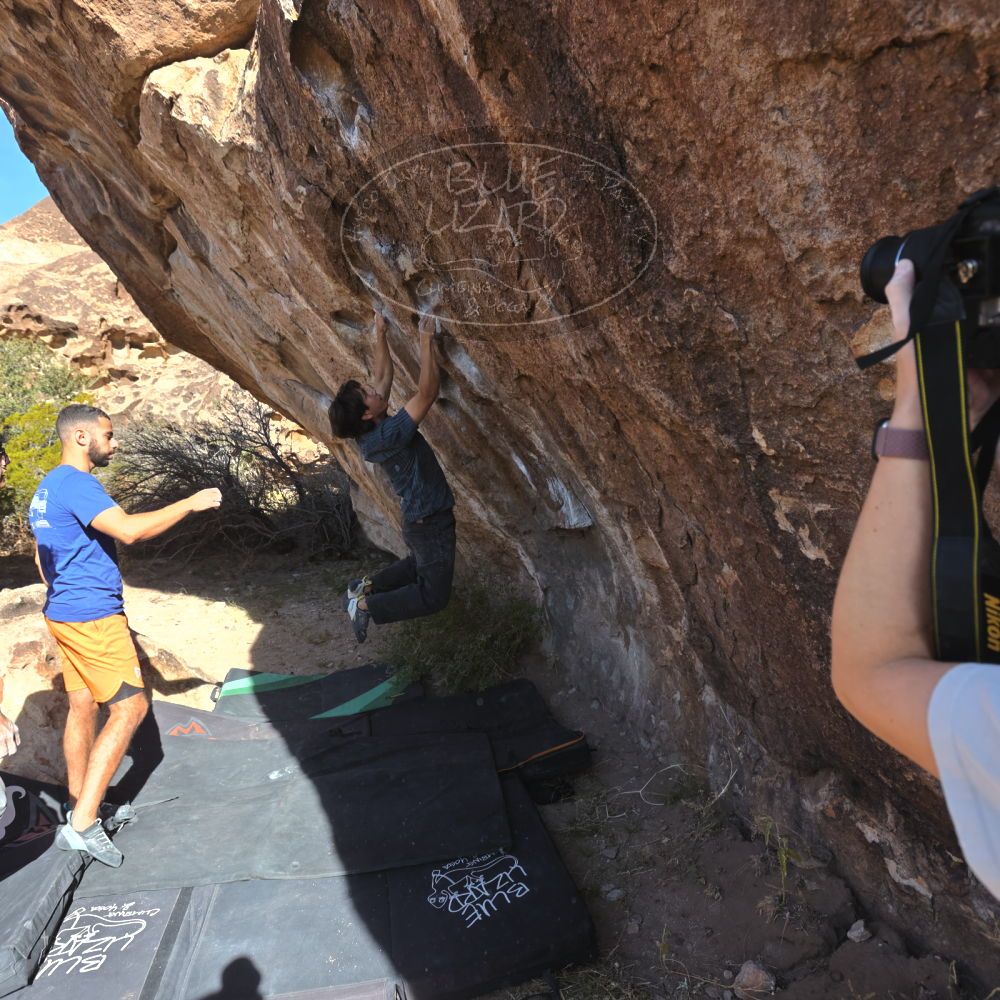 

Filename: SRM_20251126_1047470.jpg
Aperture: f/5.6
Shutter Speed: 1/1000
Body: Canon EOS R6
Lens: Canon EF 16-35mm f/2.8 L