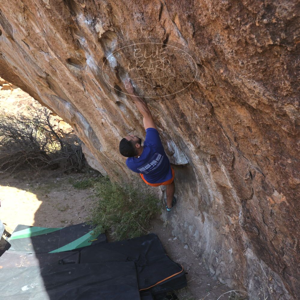 

Filename: SRM_20251126_1049400.jpg
Aperture: f/5.6
Shutter Speed: 1/1000
Body: Canon EOS R6
Lens: Canon EF 16-35mm f/2.8 L