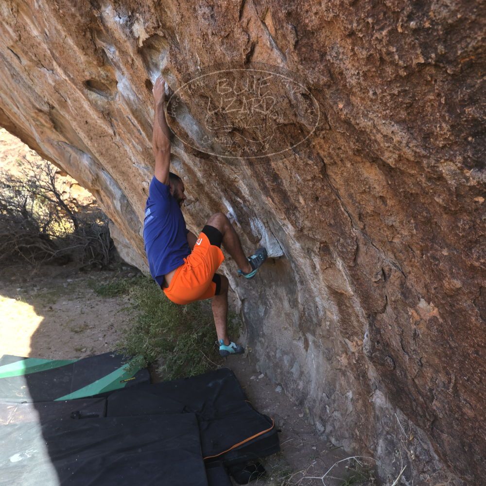 

Filename: SRM_20251126_1049430.jpg
Aperture: f/5.6
Shutter Speed: 1/1000
Body: Canon EOS R6
Lens: Canon EF 16-35mm f/2.8 L