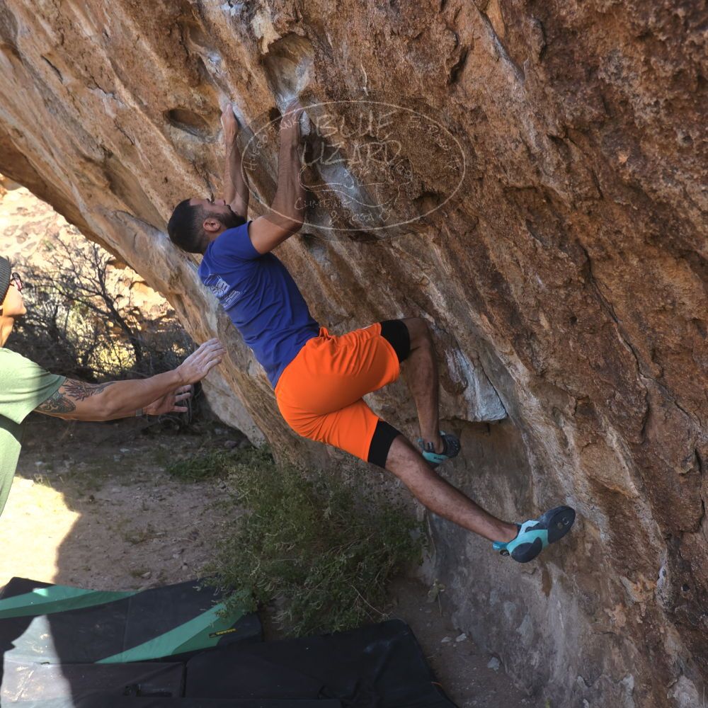 

Filename: SRM_20251126_1049480.jpg
Aperture: f/5.6
Shutter Speed: 1/1000
Body: Canon EOS R6
Lens: Canon EF 16-35mm f/2.8 L