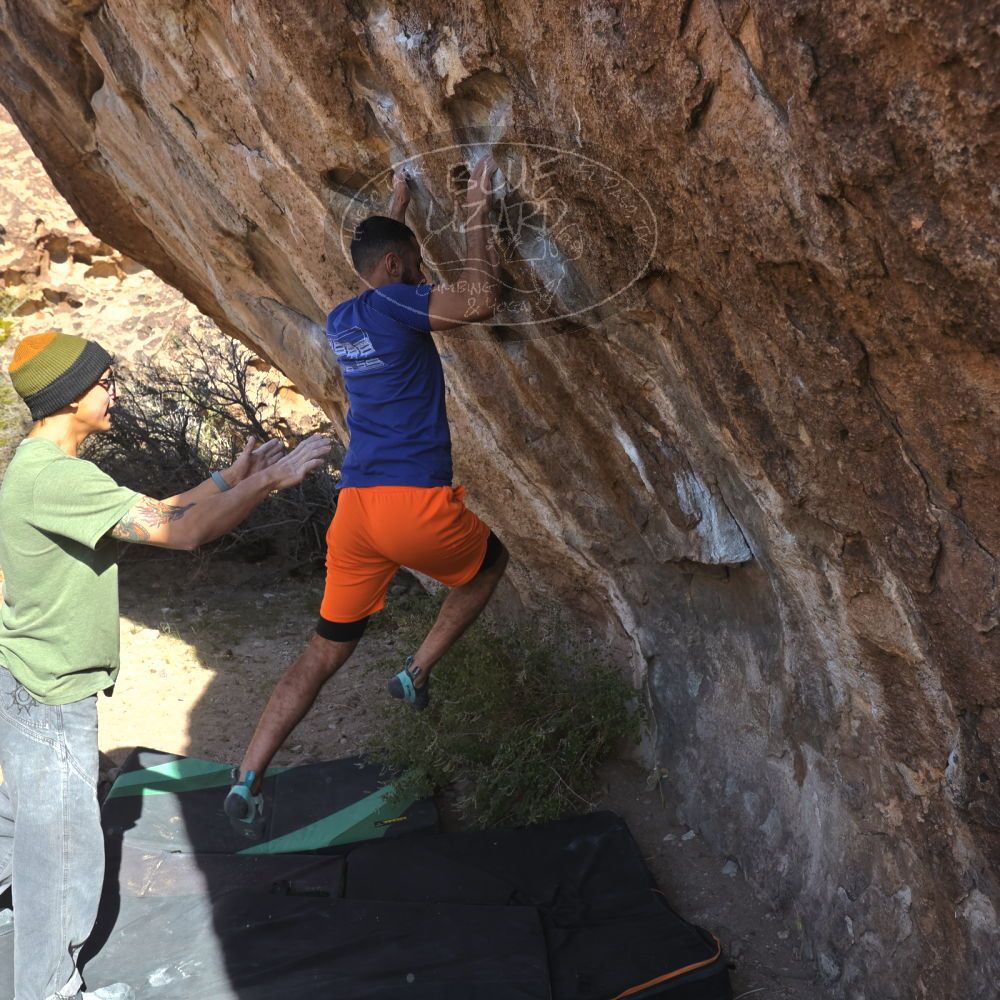 

Filename: SRM_20251126_1049490.jpg
Aperture: f/5.6
Shutter Speed: 1/1000
Body: Canon EOS R6
Lens: Canon EF 16-35mm f/2.8 L