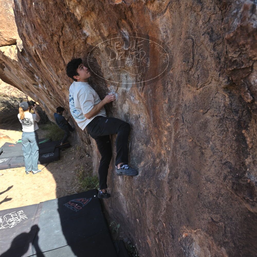 

Filename: SRM_20251126_1051240.jpg
Aperture: f/5.6
Shutter Speed: 1/1000
Body: Canon EOS R6
Lens: Canon EF 16-35mm f/2.8 L