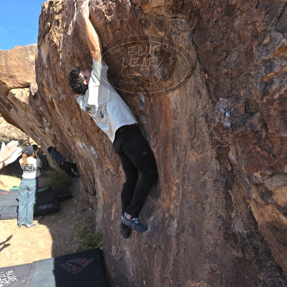 

Filename: SRM_20251126_1051290.jpg
Aperture: f/5.6
Shutter Speed: 1/1000
Body: Canon EOS R6
Lens: Canon EF 16-35mm f/2.8 L