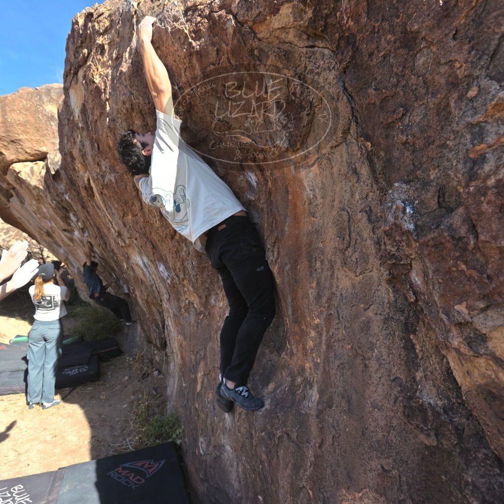 

Filename: SRM_20251126_1051291.jpg
Aperture: f/5.6
Shutter Speed: 1/1000
Body: Canon EOS R6
Lens: Canon EF 16-35mm f/2.8 L