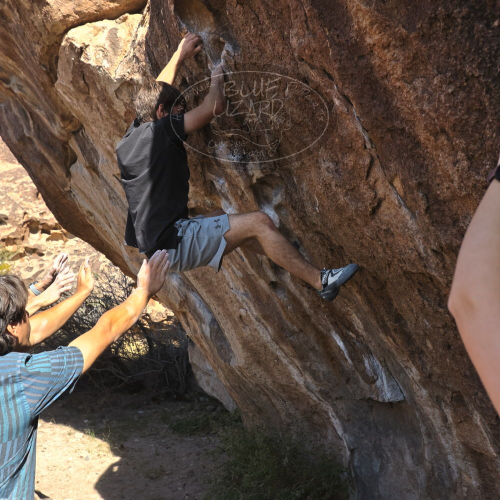 Filename: SRM_20251126_1052570.jpg
Aperture: f/5.6
Shutter Speed: 1/1000
Body: Canon EOS R6
Lens: Canon EF 16-35mm f/2.8 L