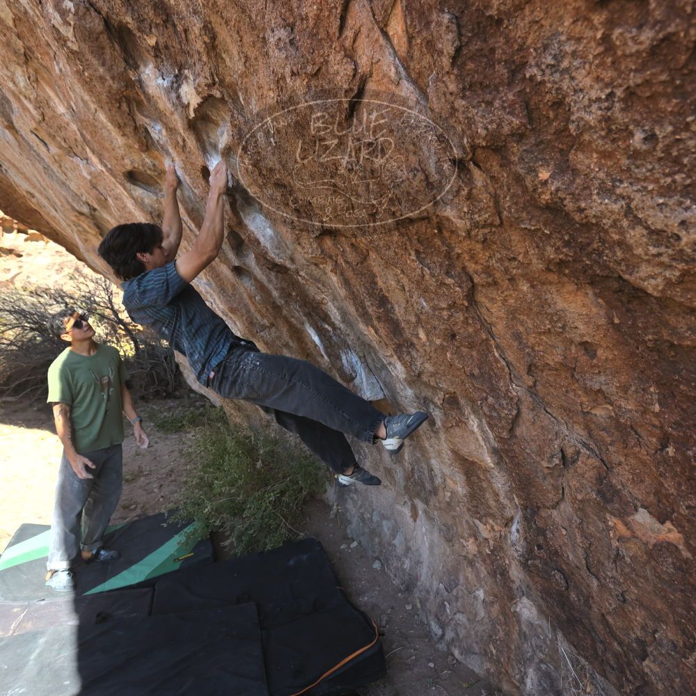 Filename: SRM_20251126_1054560.jpg
Aperture: f/5.6
Shutter Speed: 1/1000
Body: Canon EOS R6
Lens: Canon EF 16-35mm f/2.8 L