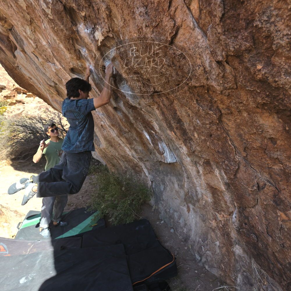 Filename: SRM_20251126_1054570.jpg
Aperture: f/5.6
Shutter Speed: 1/1000
Body: Canon EOS R6
Lens: Canon EF 16-35mm f/2.8 L