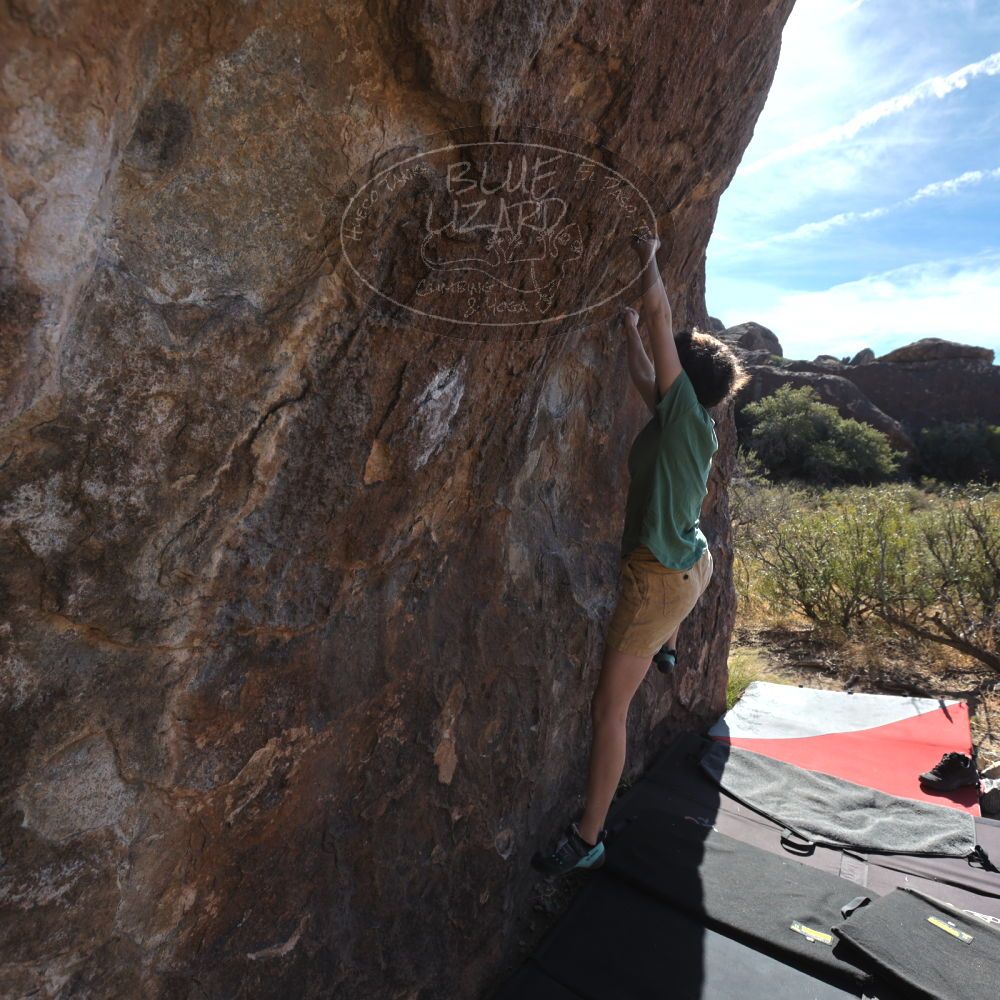 Filename: SRM_20251126_1056090.jpg
Aperture: f/5.6
Shutter Speed: 1/1000
Body: Canon EOS R6
Lens: Canon EF 16-35mm f/2.8 L