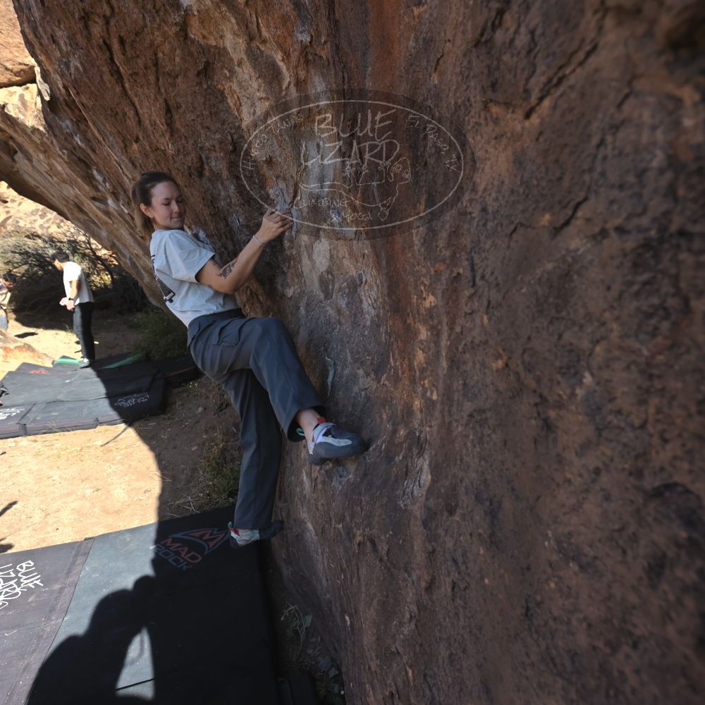 Filename: SRM_20251126_1057360.jpg
Aperture: f/5.6
Shutter Speed: 1/1000
Body: Canon EOS R6
Lens: Canon EF 16-35mm f/2.8 L