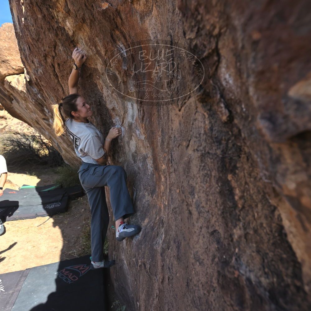 Filename: SRM_20251126_1057400.jpg
Aperture: f/5.6
Shutter Speed: 1/1000
Body: Canon EOS R6
Lens: Canon EF 16-35mm f/2.8 L