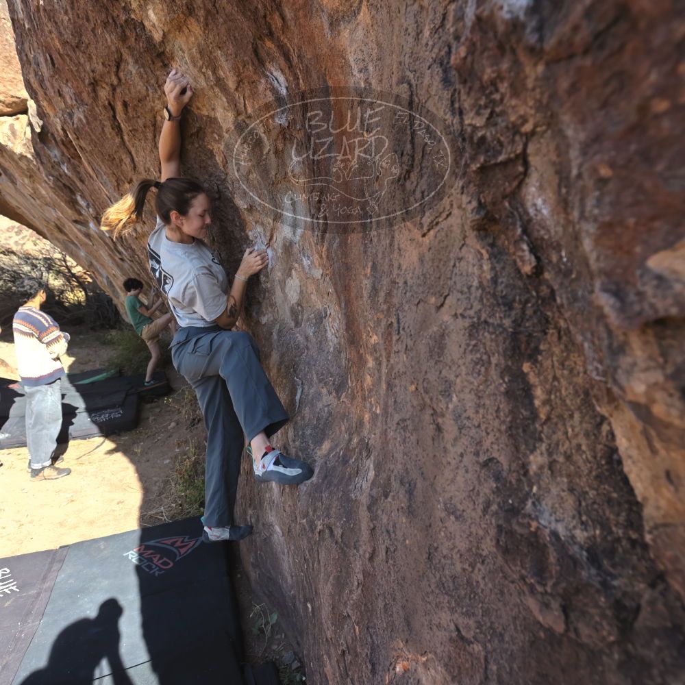 Filename: SRM_20251126_1100560.jpg
Aperture: f/5.6
Shutter Speed: 1/1000
Body: Canon EOS R6
Lens: Canon EF 16-35mm f/2.8 L