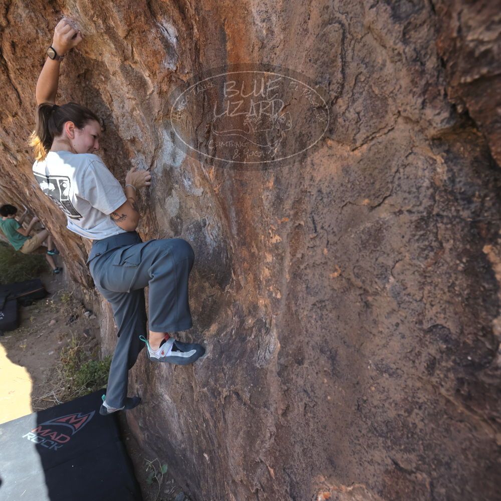 Filename: SRM_20251126_1100580.jpg
Aperture: f/5.6
Shutter Speed: 1/1000
Body: Canon EOS R6
Lens: Canon EF 16-35mm f/2.8 L