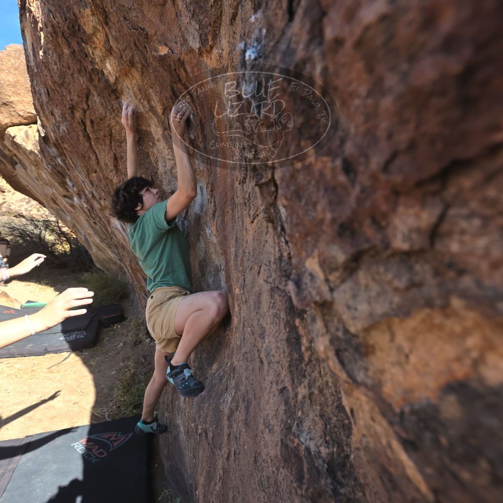 Filename: SRM_20251126_1102290.jpg
Aperture: f/5.6
Shutter Speed: 1/1000
Body: Canon EOS R6
Lens: Canon EF 16-35mm f/2.8 L