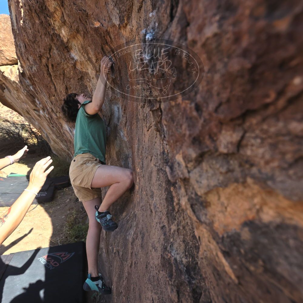 Filename: SRM_20251126_1102450.jpg
Aperture: f/5.6
Shutter Speed: 1/1000
Body: Canon EOS R6
Lens: Canon EF 16-35mm f/2.8 L