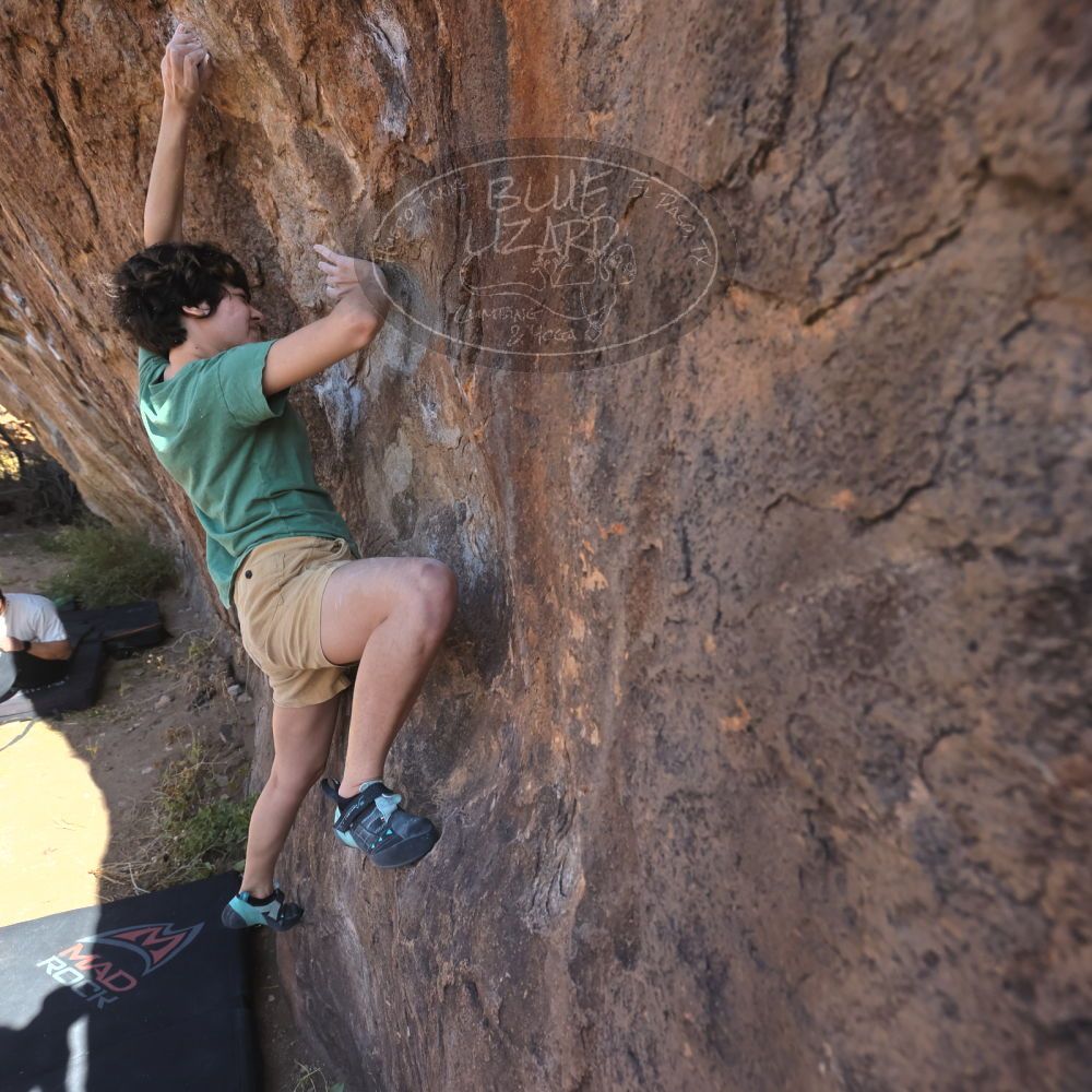 

Filename: SRM_20251126_1104040.jpg
Aperture: f/5.6
Shutter Speed: 1/1000
Body: Canon EOS R6
Lens: Canon EF 16-35mm f/2.8 L