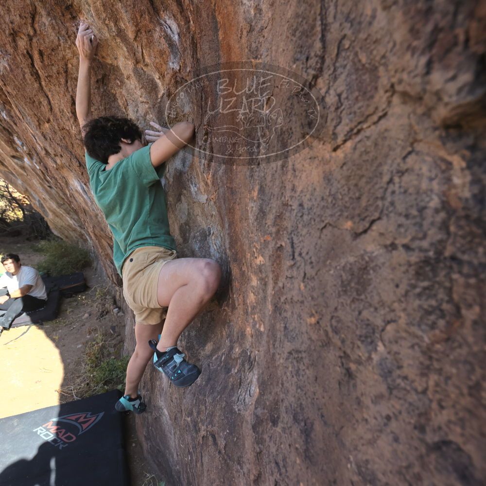 Filename: SRM_20251126_1104060.jpg
Aperture: f/5.6
Shutter Speed: 1/1000
Body: Canon EOS R6
Lens: Canon EF 16-35mm f/2.8 L