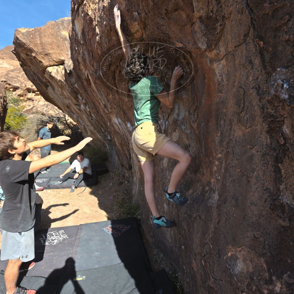 

Filename: SRM_20251126_1104221.jpg
Aperture: f/5.6
Shutter Speed: 1/1000
Body: Canon EOS R6
Lens: Canon EF 16-35mm f/2.8 L