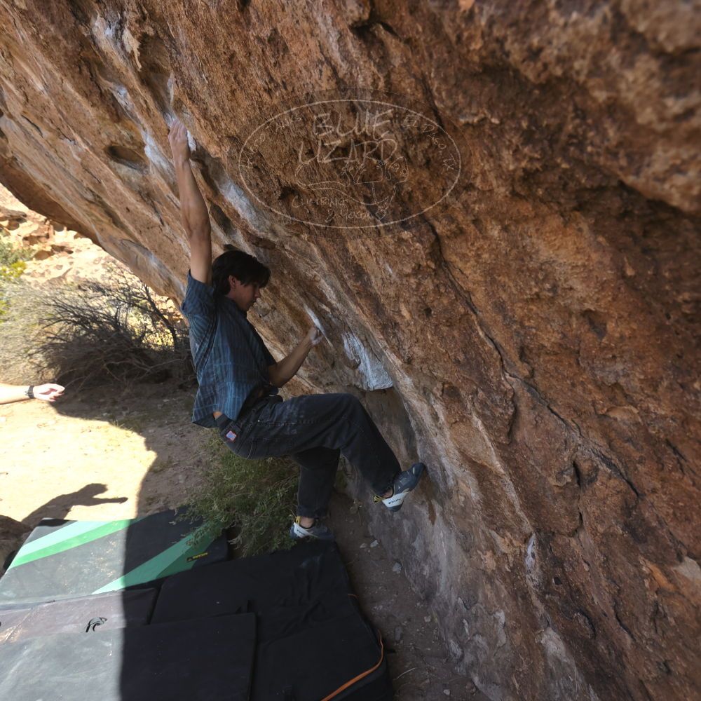 

Filename: SRM_20251126_1105350.jpg
Aperture: f/5.6
Shutter Speed: 1/1000
Body: Canon EOS R6
Lens: Canon EF 16-35mm f/2.8 L