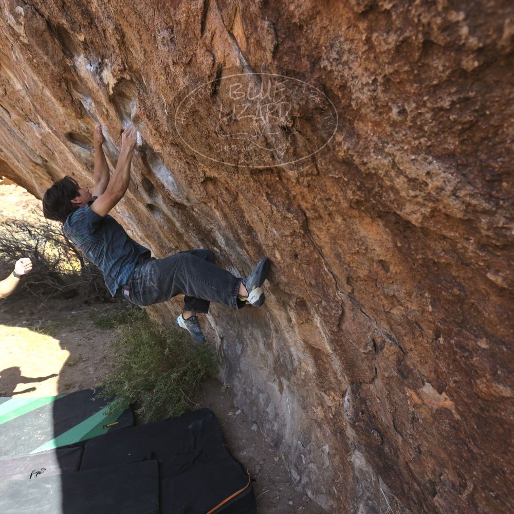 

Filename: SRM_20251126_1105370.jpg
Aperture: f/5.6
Shutter Speed: 1/1000
Body: Canon EOS R6
Lens: Canon EF 16-35mm f/2.8 L