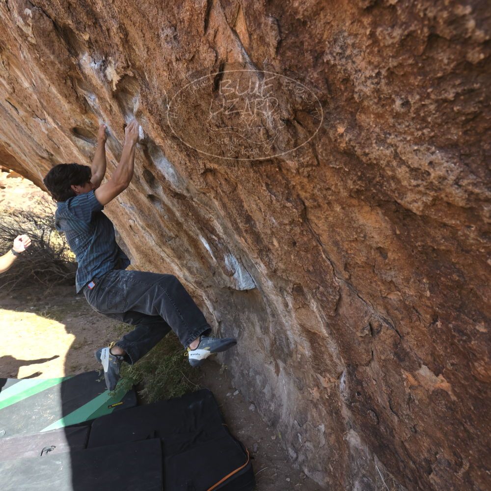 

Filename: SRM_20251126_1105380.jpg
Aperture: f/5.6
Shutter Speed: 1/1000
Body: Canon EOS R6
Lens: Canon EF 16-35mm f/2.8 L