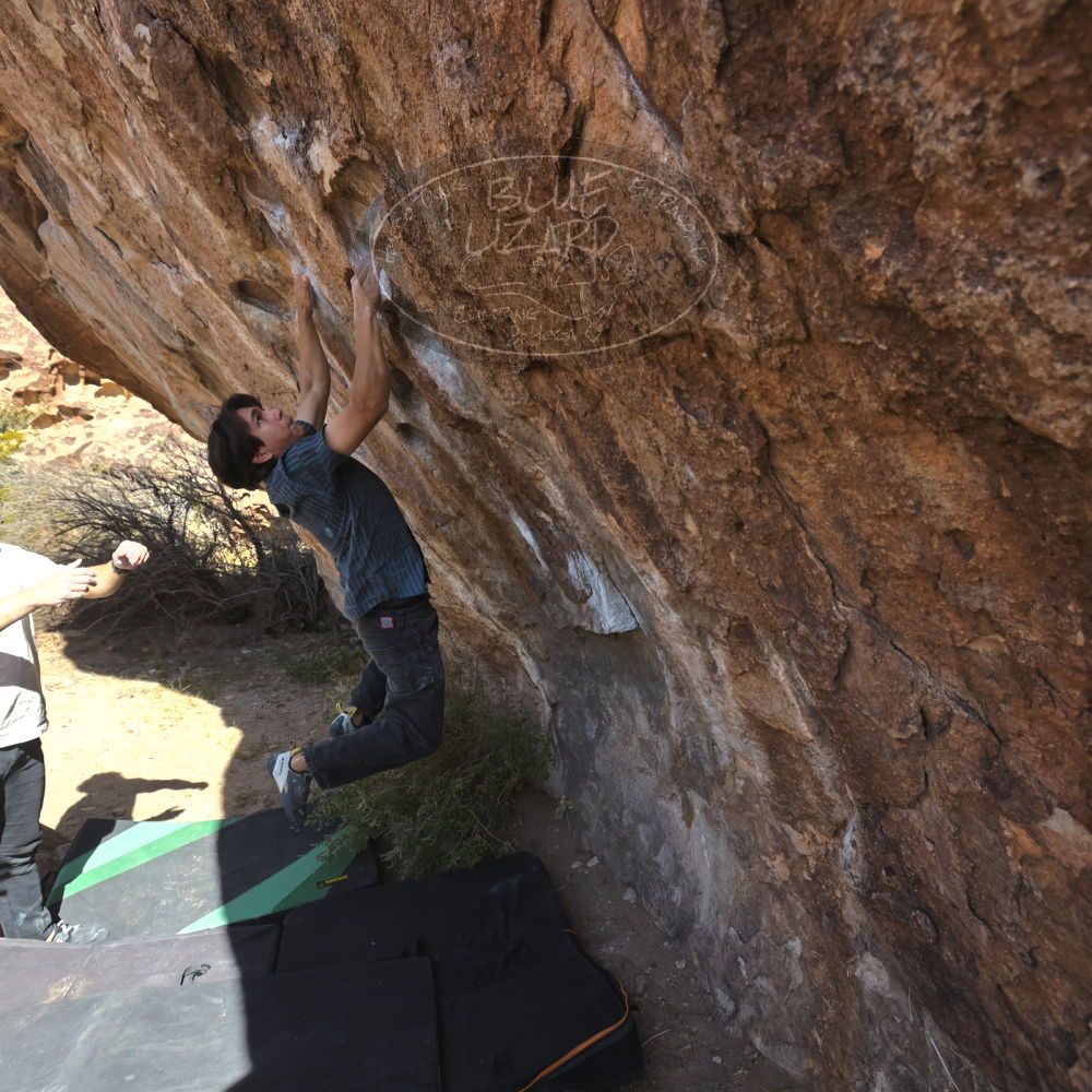 

Filename: SRM_20251126_1105390.jpg
Aperture: f/5.6
Shutter Speed: 1/1000
Body: Canon EOS R6
Lens: Canon EF 16-35mm f/2.8 L