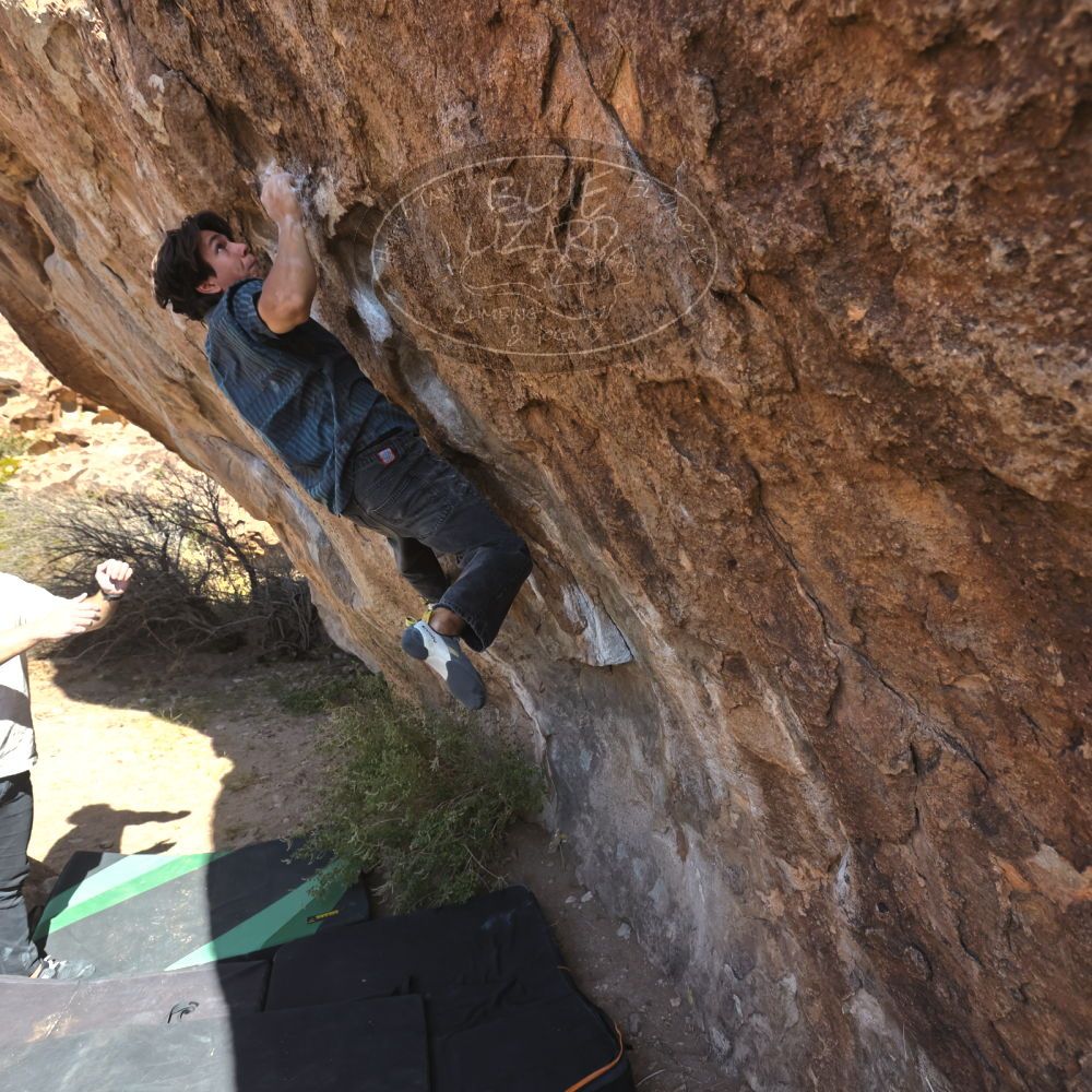 Filename: SRM_20251126_1105400.jpg
Aperture: f/5.6
Shutter Speed: 1/1000
Body: Canon EOS R6
Lens: Canon EF 16-35mm f/2.8 L