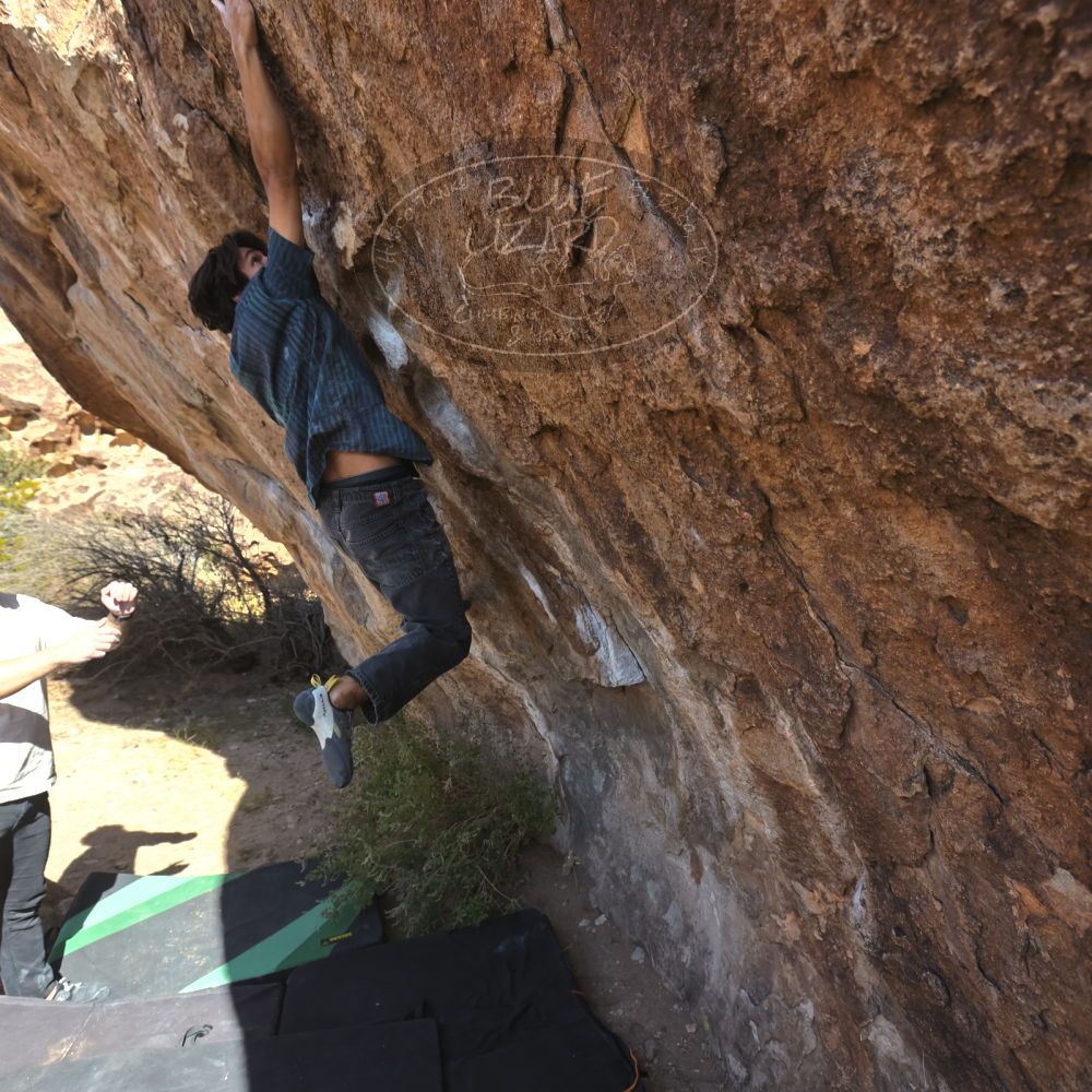 

Filename: SRM_20251126_1105401.jpg
Aperture: f/5.6
Shutter Speed: 1/1000
Body: Canon EOS R6
Lens: Canon EF 16-35mm f/2.8 L