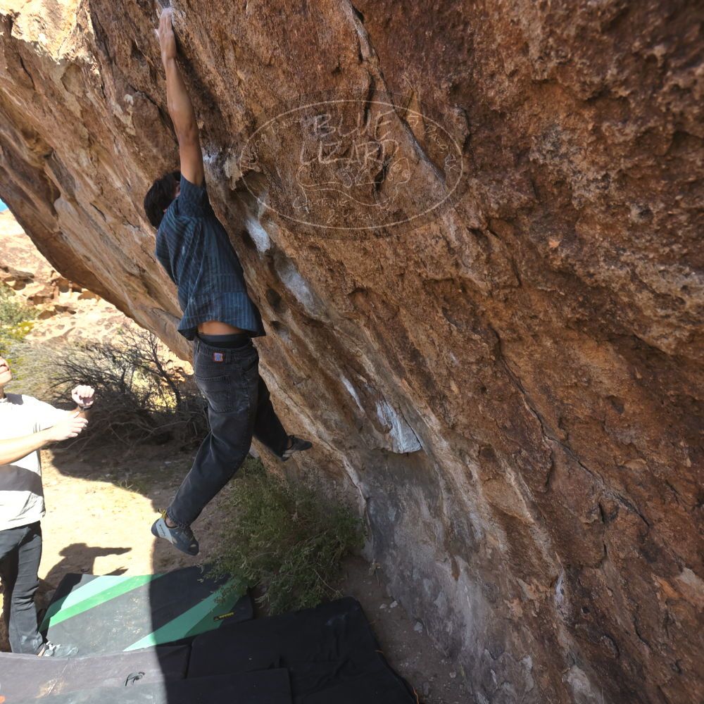 

Filename: SRM_20251126_1105402.jpg
Aperture: f/5.6
Shutter Speed: 1/1000
Body: Canon EOS R6
Lens: Canon EF 16-35mm f/2.8 L