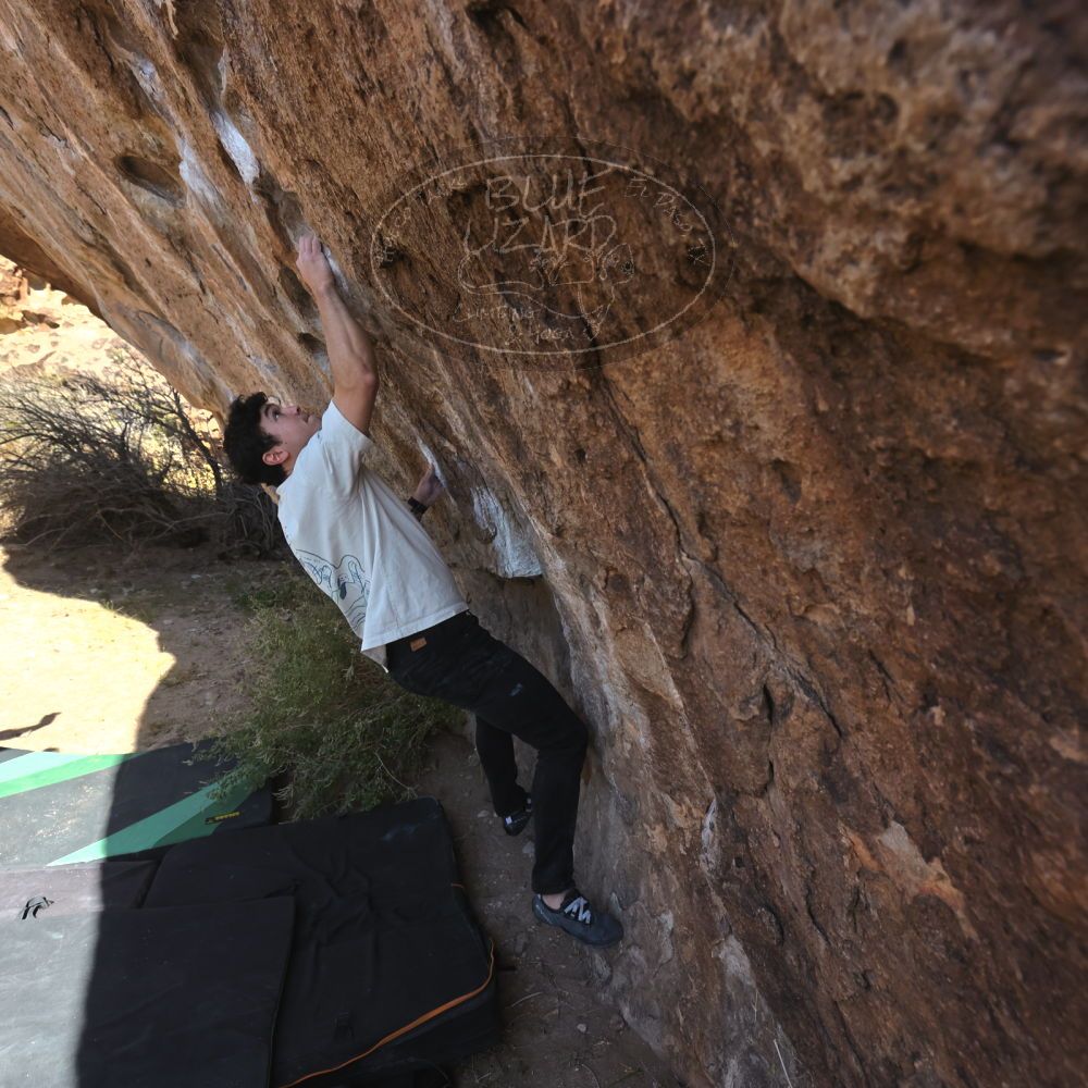 

Filename: SRM_20251126_1106120.jpg
Aperture: f/5.6
Shutter Speed: 1/1000
Body: Canon EOS R6
Lens: Canon EF 16-35mm f/2.8 L