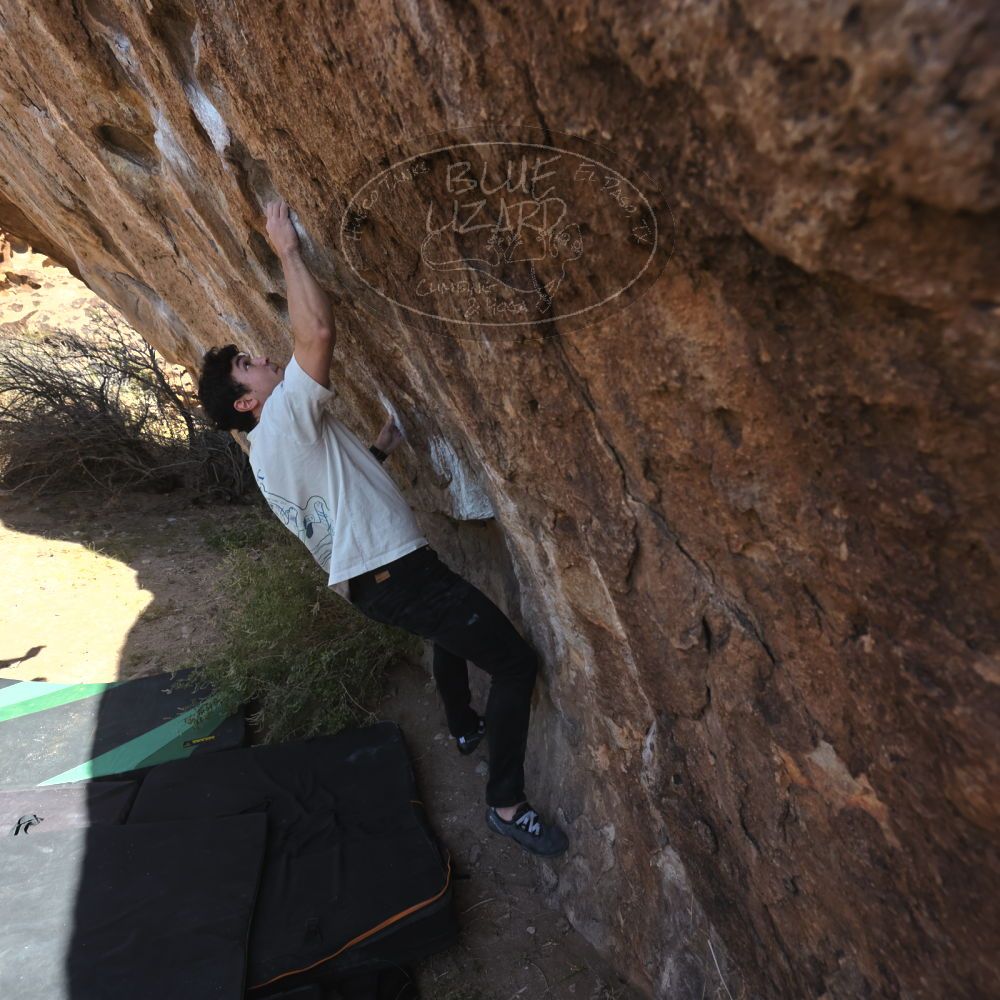 

Filename: SRM_20251126_1106121.jpg
Aperture: f/5.6
Shutter Speed: 1/1000
Body: Canon EOS R6
Lens: Canon EF 16-35mm f/2.8 L